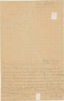 Шурига Пелагея Николаевна. Желтая фигура 